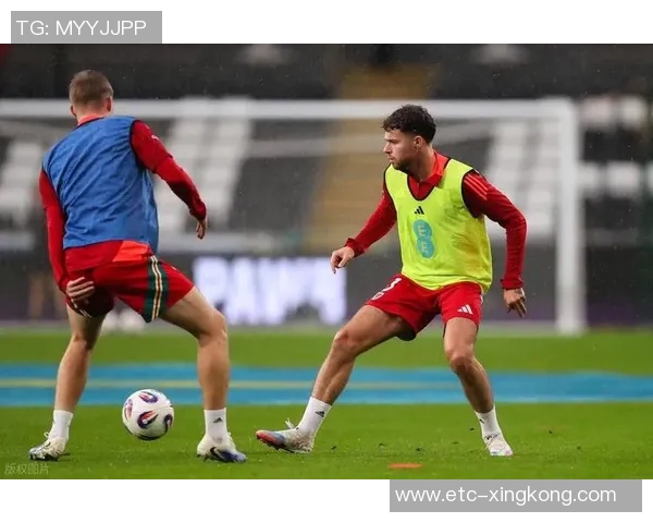 英格兰与威尔士足球对决深度分析及战术解析 英格兰与威尔士足球对决深度分析及战术解析