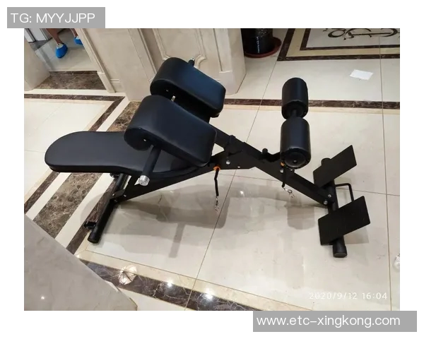 夏拓健身器材助力健康生活打造个性化健身方案提升运动效果与乐趣